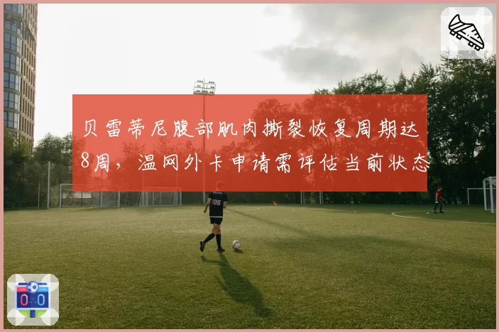 贝雷蒂尼腹部肌肉撕裂恢复周期达8周,温网外卡申请需评估当前状态
