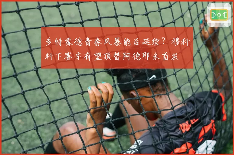 多特蒙德青春风暴能否延续?穆科科下赛季有望顶替阿德耶米首发