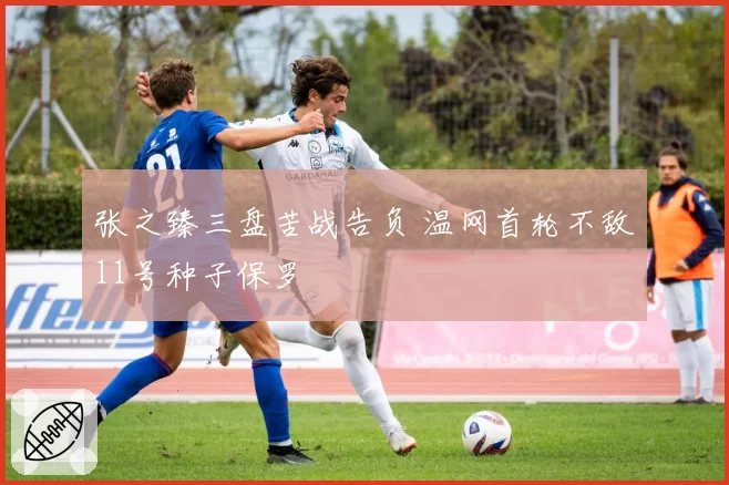 张之臻三盘苦战告负 温网首轮不敌11号种子保罗