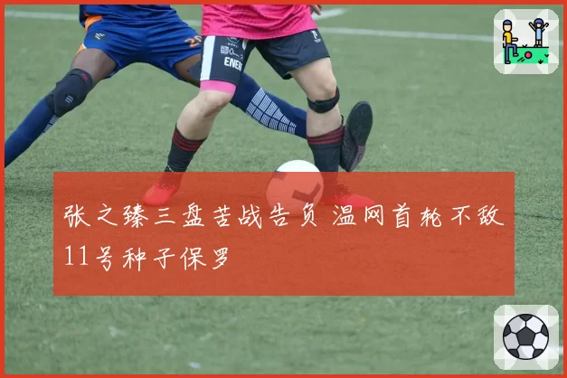 张之臻三盘苦战告负 温网首轮不敌11号种子保罗